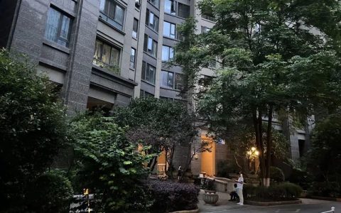 男孩校内被撞离世后，母亲坠楼身亡！“她刚失去孩子，又遭网暴”-男孩坠楼事件