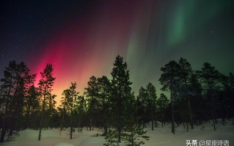 下半年星座运势：哪些星座有机会逆风翻盘-2021年下半年哪个星座运势最好