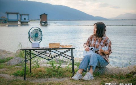 夏日炎炎，利维斯顿ILVSD FL09空气循环扇——我的清凉新选择