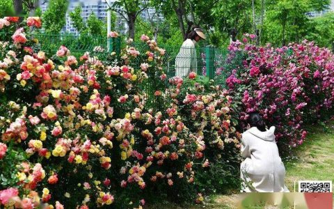 “五一”天气发布！这几天都下雨-这几天要下雨吗?