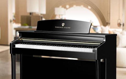 电钢琴初学者入门教程，零基础电子琴爱好者看过来（电钢琴入门自学教程 零基础视频大全）