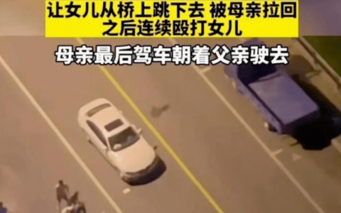 父亲和女儿发生争执让女儿跳桥，被母亲拉回，父亲继续抱摔女儿！-女儿跳河父亲复仇