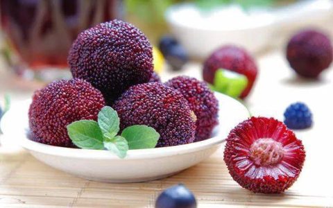 “果中玛瑙”杨梅有哪些养生功效？（说一下杨梅的功效）