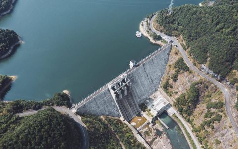 浙江一大坝挖出生长十几年白蚁后，“一王三后”白蚁巢被连窝端