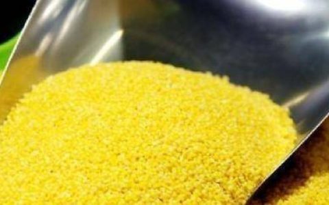 吃什么食物补肝养肾？（什么食物可以养肝补肾）