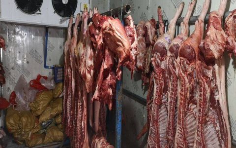 如何设计肉类冷库？四川肉类食品厂冻库必知的知识