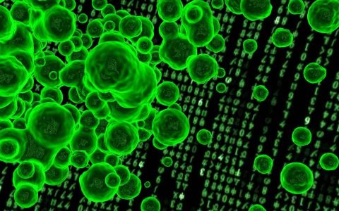 每日星座运势查询每天看2023-6-29-每日星座运势2021