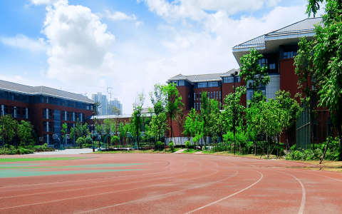 成都国际学校的招生条件有哪些？（成都国际学校哪个学校最好）