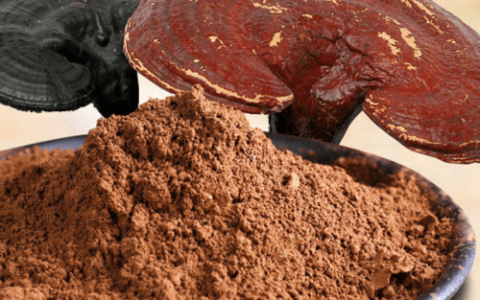 孢子粉的功效和价格-灵芝孢子的功效与作用及吃法禁忌图片油