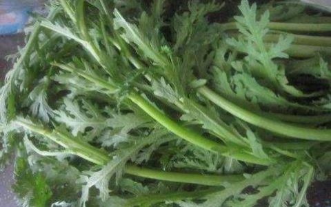 原创
茼蒿和它一起凉拌，补血养颜增强记忆力，夏天要常吃-茼蒿和什么凉拌好吃