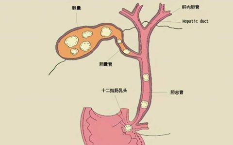 原创
甘油三酯高了就要吃药？医生：错了，达到一定的数值才要吃降脂药