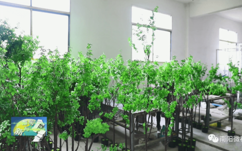 【迎老乡 回故乡 建家乡】李富文：返乡创业“惠”家乡-迎老乡回家乡讲话稿