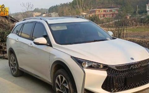 顺风车司机傻眼！司机接了一单，车却被乘客卖了，这个乘客是如何做到的？（顺风车司机被套路怎么办）