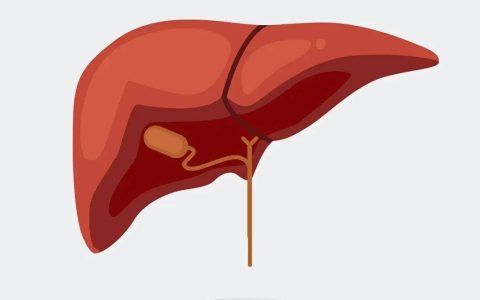 吃什么肉会“伤肝”？吃什么对降转氨酶好？肝病医生有分享（吃什么肉不伤肝）