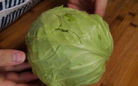 用包菜做一个好吃的快手菜，简单又好吃，又香又入味，喜欢试试！-包菜能做啥