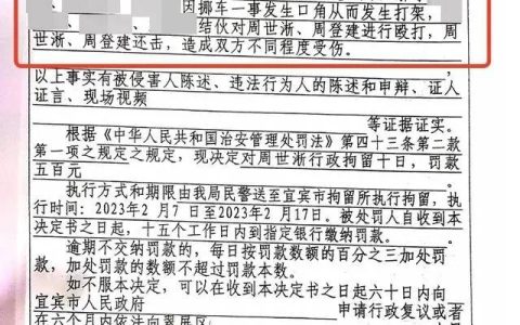 父子遭群殴还手被拘，“互殴”认定再次让人迷惑-父子俩打架