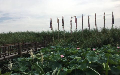原创
浙江省湖州市下渚湖湿地风景区旅游攻略(下渚湖旅游)