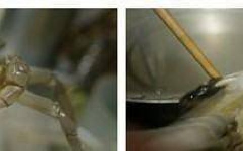 怎样煮螃蟹才好吃又简单-怎么样煮螃蟹最好吃