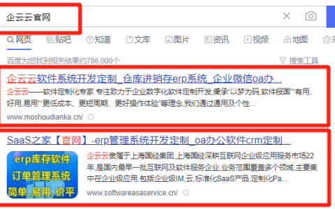 企业选择定制开发管理系统还是购买用友金蝶erp等软件(企业定制开发软件的方式主要有)