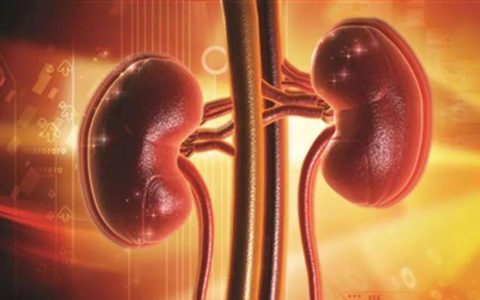 原创
中医教你一招，帮你把损耗的肾精补回来（如何补养肾中精气的方法）