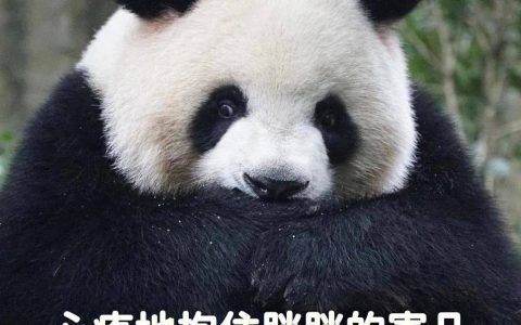 有哪些看上去热量很高，实际上热量很低的食物？(热量又低又好吃的食物)