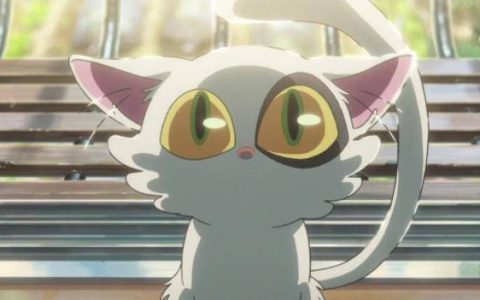 我看《铃芽之旅》~