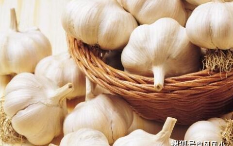 脂肪肝吃什么好？多吃这几种食物轻松灭掉脂肪肝（脂肪肝最好吃什么油）