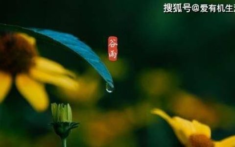 原创
谷雨是几月几日，谷雨节气的特点和风俗