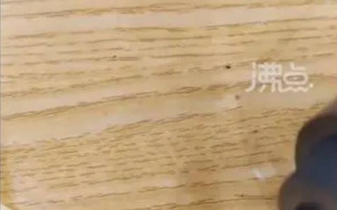 安徽一女子称吃黄焖排骨发现满嘴是蛆，总部：赔偿4888元