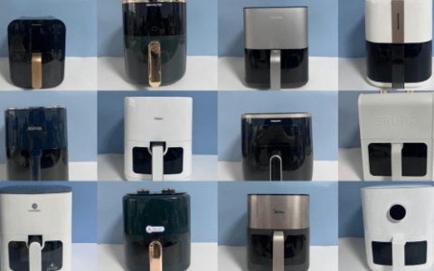 空气炸锅哪个品牌质量比较好？六款超高热度产品推荐-空气炸锅哪个品牌好一点