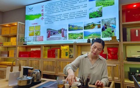 揭秘湘西“茶王”——古丈县天桥山村百润有机茶叶专业合作社-湖南古丈茶业有限公司