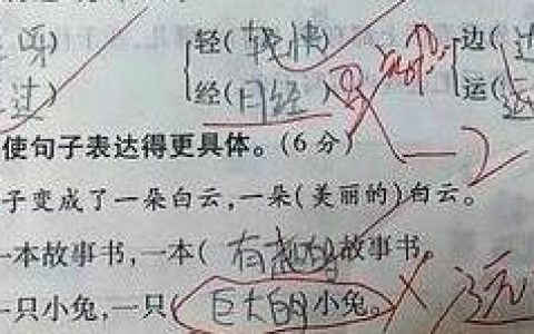 小学生奇葩作业火了，分分钟笑到肚子疼，老师：人才，太早熟！-盘点那些奇葩的小学生作业