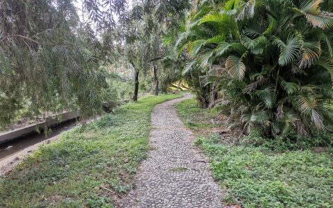 成都升温千足虫满街爬 满屏鸡毛疙瘩-成都开始升温了吗