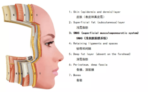 超声炮的副作用和危害-超声炮的副作用