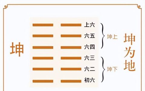 倪海厦《易经》六十四卦，第二卦“坤为地”,图示讲解(倪海厦讲易经每一卦配图出自哪里?)