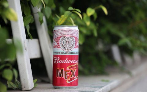 百威啤酒是哪个国家的牌子？（百威啤酒是哪里品牌）