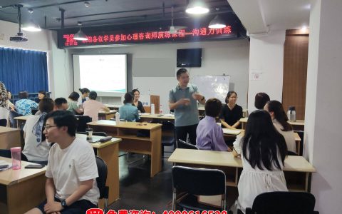 成都市心理咨询师培训机构（成都心理咨询培训正规机构）