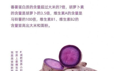 减脂健身每天懂点营养小知识紫薯（紫薯减肥餐的做法大全窍门）
