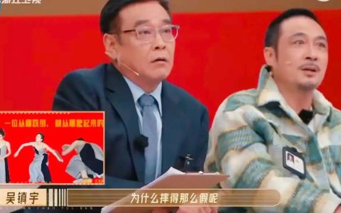 赵樱子首次回应红毯摔倒事件，吴镇宇问赵樱子为什么摔得那么假（赵樱子几线明星）