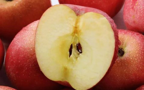 原创
三天苹果减肥法，每日瘦1斤，排出黑臭宿便，还起到祛斑亮肤作用（3天苹果减肥法亲身经历）