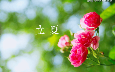 立夏吃什么？北方立夏吃四种面食-原创力文档免费获取PPT