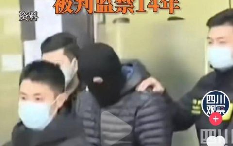 安以轩老公判了！涉案金额309亿，被判了14年！！！（安以轩老公多大了个人简介）