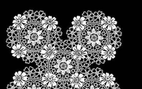 蕾丝是什么面料（蕾丝设计师前景）