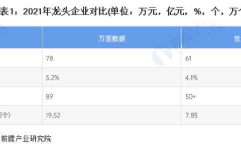 干货！2022年中国IDC行业龙头企业分析——万国数据：IDC业务高速发展（idc业务龙头股）