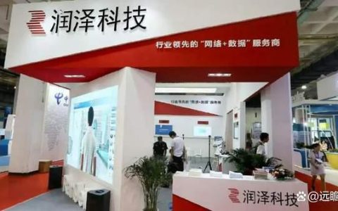 首家创业板重组企业，润泽科技：数字基建润东方，数据资产泽天下（润泽科技估值）