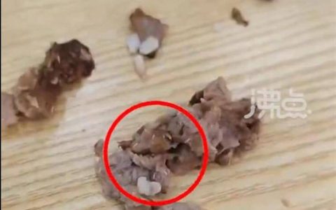 女子称吃黄焖排骨发现满嘴是蛆！赔偿金额引争议网友：恶心到家了（排骨上有虫子了还能吃吗）