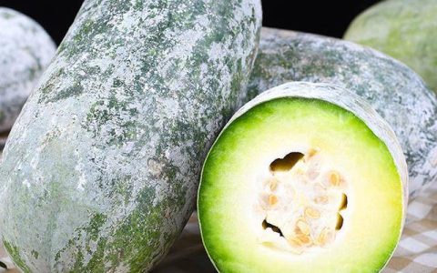 原创
冬瓜的功效与作用（冬瓜的功效与作用中用法禁忌主网）