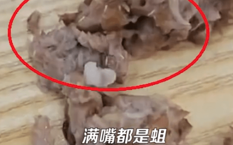 女子称吃黄焖排骨发现满嘴是蛆（有个女的那里全是蛆图片）