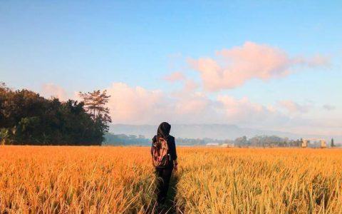 《每天懂一点人情世故》：锋芒太露，终究会吃亏的（每天懂一点人情世故 小说）