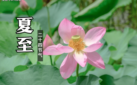 原创
6月21日夏至，俗话说：“夏至不下雨，寡妇把身许”，是啥意思？-夏至要下雨吗